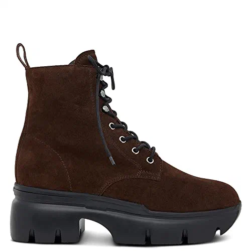 Giuseppe Zanotti, Apocalypse