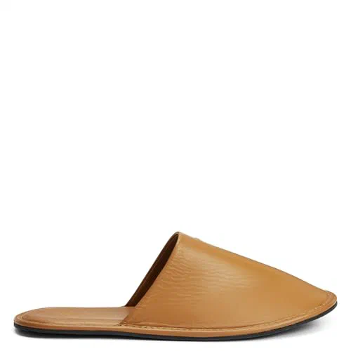 Giuseppe Zanotti, Clermond