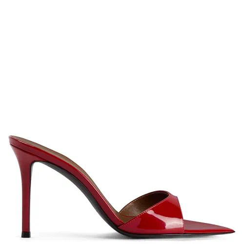 Giuseppe Zanotti, Intriigo