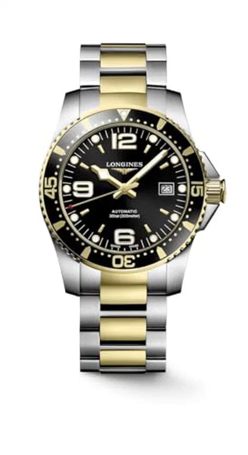 HYDROCONQUEST 41MM Automatic Watch