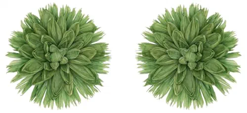 Oscar De La Renta, Raffia Flower Clip-On Earrings
