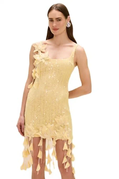 PATBO, Iara Crochet Mini Dress Yellow